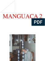 Manguaca