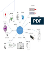 Estructura Atomica Mapa Mental