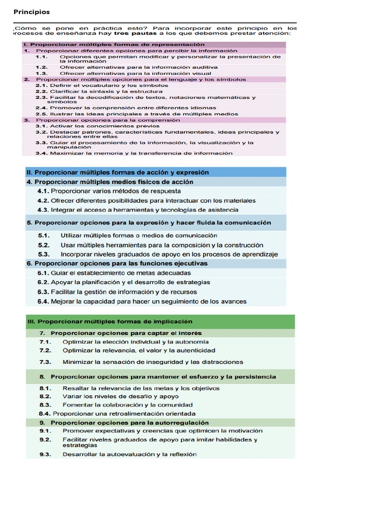 Principios Fundamentales del DUA | PDF | Aprendizaje | Comunicación