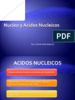 Nucleo y Acidos Nucleicos