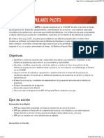 BIBLIOTECAS POPULARES PILOTO - CONABIP.pdf