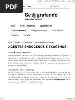 Agentes Endógenos e Exógenos - Geografando