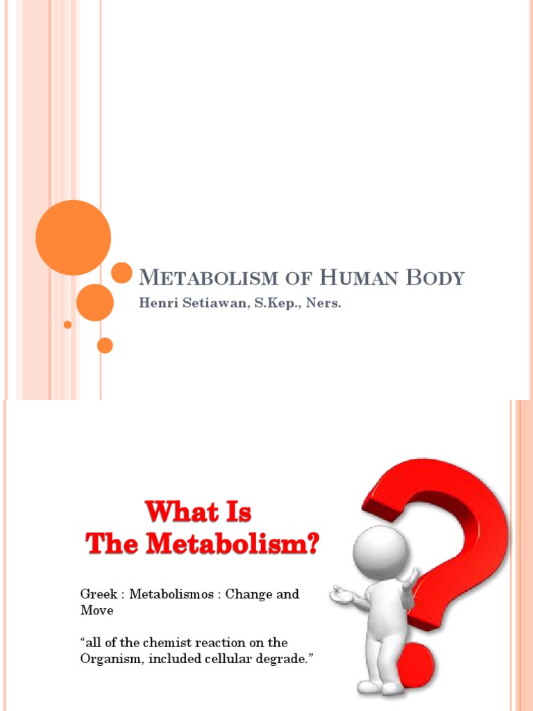 Metabolism of Human Body | PDF | Metabolism | Biochemistry