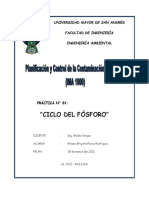 ciclo fosforo.docx