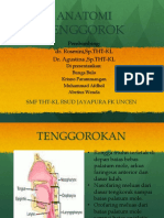 Anatomi Tenggorok