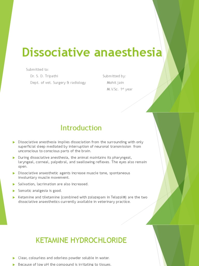 Dissociative Anasthesia PDF Anesthesia Analgesic