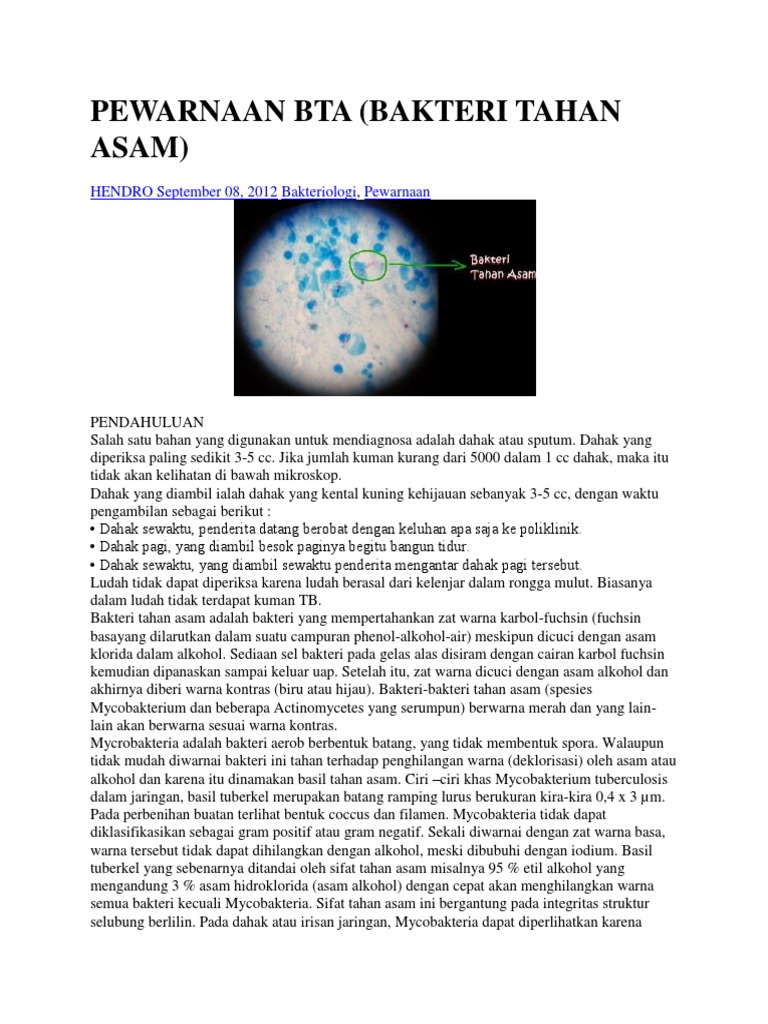 Pewarnaan Bta Bakteri Tahan