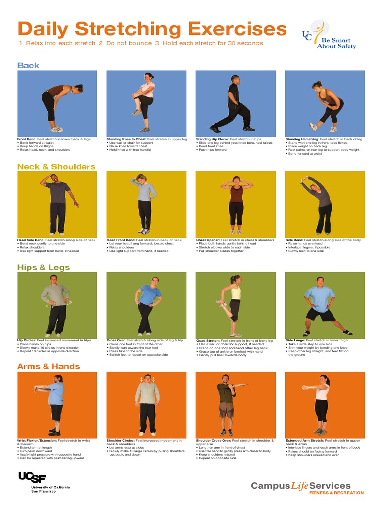Daily Stretching Exercises Guide | PDF | Anatomical Terms Of Motion ...