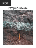 Pedogenic Carbonates