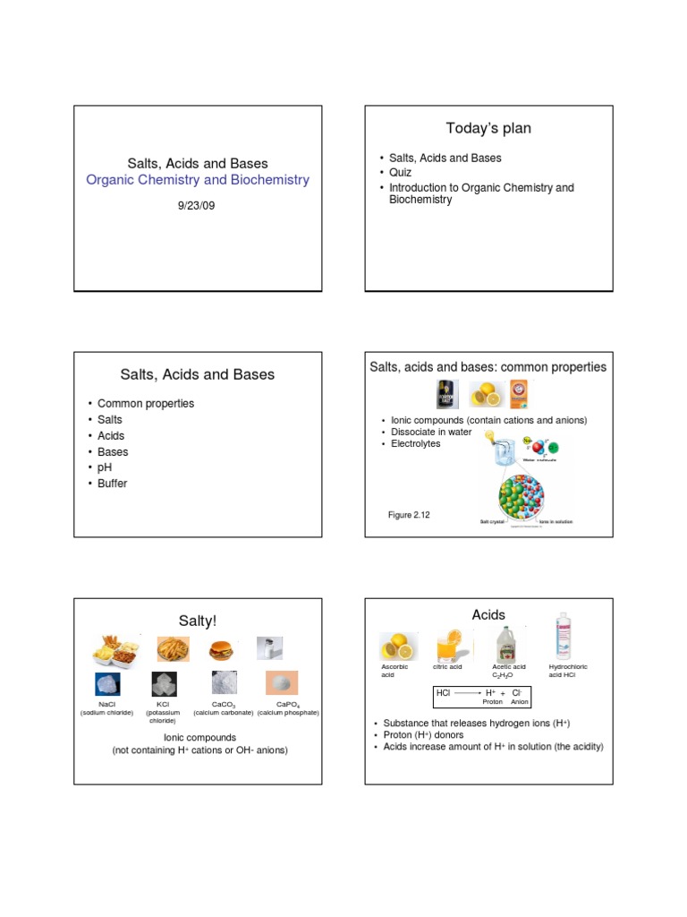 Today's Plan: Salts, Acids and Bases | Download Free PDF ...