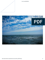 Sea PDF