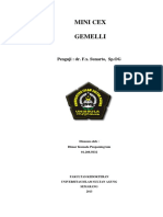 169710591-Gemelli.docx
