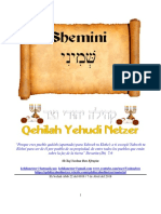 Parashat Shemini # 26 Adul 6018