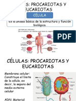 Células Eucariotas y Procariotas