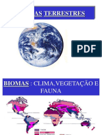 Ecologia - Biomas Terrestres Movimento