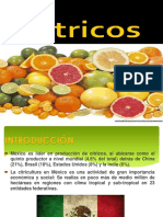 citricos 2