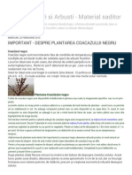 Pomi Fructiferi Si Arbusti - Material Saditor_ Important - Despre Plantarea Coacazului Negru