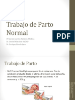 20120119_trabajo_de_parto_normal_corregido.pptx