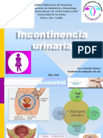 Incontinencia Urinaria