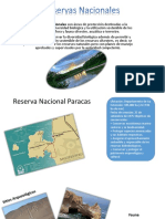 Reserva Nacional Paracas 