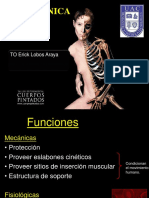 Biomecanica Del Tejido Oseo 2018