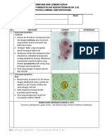 Lembar Kerja Praktikum Parasitologi Protozoa Luminal 2018