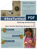 #Seaturtlesrock: Raising Awareness Sea Turtle Nesting Season in FL