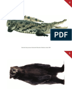Flashcards Animals PDF