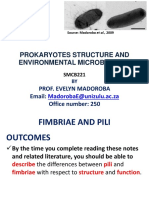 Prokaryotes Structure and Environmental Microbiology: Prof. Evelyn Madoroba Email: Office Number: 250