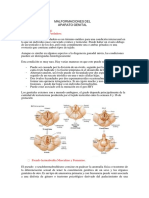 Pregunta 5 Embrio