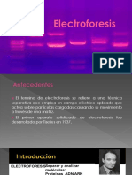 Electroforesis faby.pptx