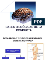 Bases biologicas de la conducta.pdf