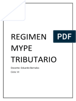 Regimen Mype