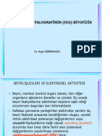 Elektroansefalografinin (Eeg) Biyofizik Temelleri: Dr. Ayşe Demirkazik
