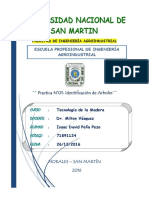 PRACTICA-N1-IDENTIFICACION-DE-ARBOLES-1.docx
