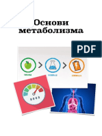 Основи метаболизма