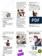 Leaflet Ginjal