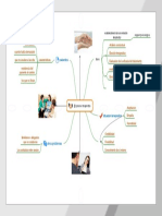 Mapa El Proceso Terapeutico