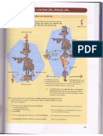 Gramática básica del estudiante de español parte3.pdf