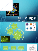 Genoma viral: estructura, clasificación y ciclo de infección