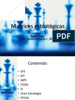 Matriz Efi