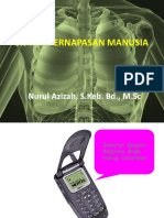 8.sistem Pernafasan Manusia