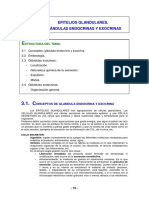 GLANDULAS.pdf
