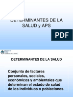 Determinantes de La Salud APS