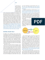 Page From How The Immune System Works (4th Edition)