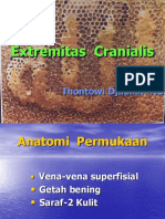 Extremitas Cranialis: Thontowi Djauhari NS