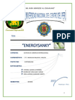 Energysanky Idea de Negocio