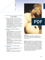 Protist PDF
