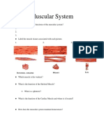 Handout For Presentation