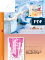 Archundia Figuras c12 HERNIAS